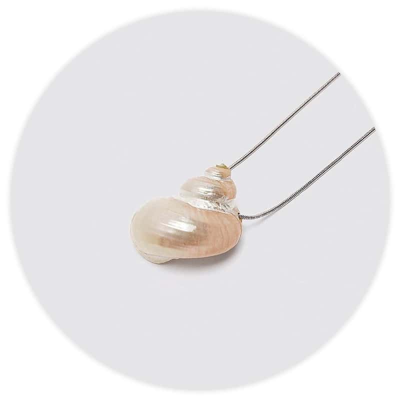 Collier Coquillage Turbo Nacré