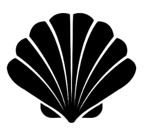 Le monde des Coquillages
